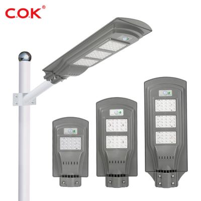 China Best Quality ABS Ip66 20w 40w 60w LED Garden Remote Control Waterproof Integrated Solar Garden Light With Pole for sale