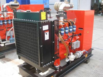 China 3 Phasen-Erdgas-Generator, 50kw - Stromgenerator des Gas-300kw zu verkaufen