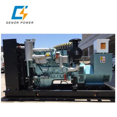 China Natural Gas Powered Genset Diesel Generator electricity 200kva ECU Ignition system Spark plug for sale