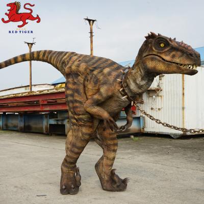 Cina Costume da Velociraptor Animatronic, Costume da dinosauro adulto artificiale in vendita