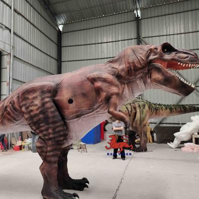 China Museum Realistisches Dinosaurier-Kostüm 8 m lang Erwachsene Sounds Customized zu verkaufen