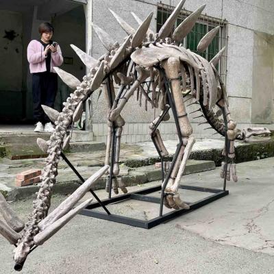 China Ausstellung Jurassic Park Dinosaurierskelett, Dinosaurierknochennachbildungen zu verkaufen