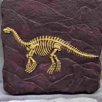 Chine Réplique de squelette de dinosaure extérieur RoHS grandeur nature modèle approuvé à vendre