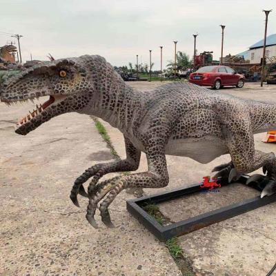 China Raptor de dinossauro animatrônico realista de parque temático com personalização de movimento e som à venda