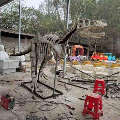 China Outdoor / Indoor lebensgroße Dinosaurier-Schädel-Replik, Dinosaurier-Fossil-Repliken zu verkaufen