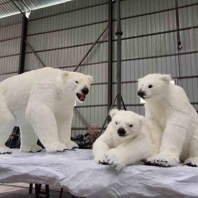 China Parques temáticos Autêntico Urso Polar Animatrônico Com Voz e Sons de Animais à venda