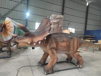 China Jurassic Park Animatronic Triceratops Model 5m en venta