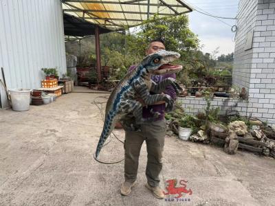 China Muñeco de mano de dinosaurio realista para bebés en venta