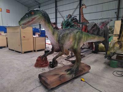 China Zigong Manufacturer life-szie Modelo 3D de dinosaurio Esculptura de coelofisis animada para la venta en venta