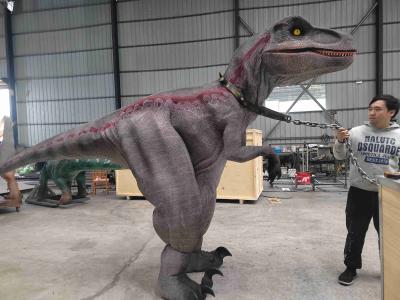 China Fabricante Zigong Disfraz de Raptor de talla natural de rayas rojas en venta en venta