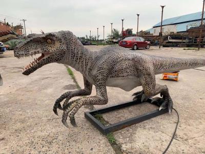 China Levensgrote realistische animatronic dinosaurus Velociraptor model pretpark dinosaurus Te koop