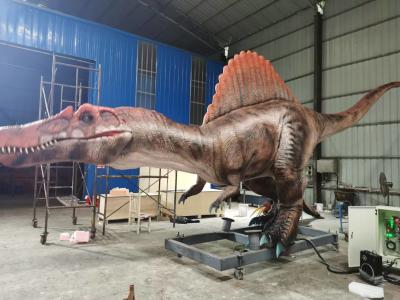 China Life Size Realistic Animatronic Dinosaur Spinosaurus Servo Motors Large Range of Movements for sale