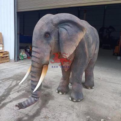 China Performance Realistic Adult Elephant Animal Double Costume for sale