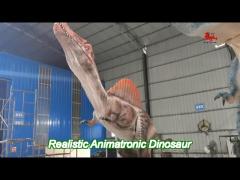 life size realistic animatronic dinosaur spinosaurus servo motors large range of movements