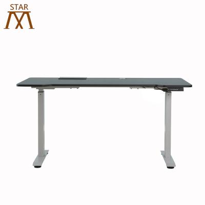 China Computer Position Desk Table Desk (Height) Height Adjustable Electric Motor Height Adjustable Furniture Double Height for sale