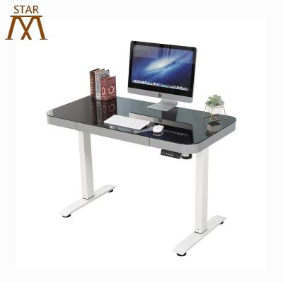 China Changzhou Modern Office Sit To Stand Desk Frame for sale