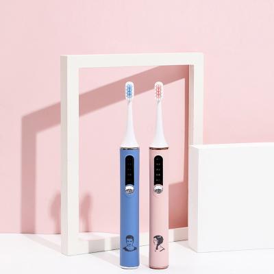 China Electric Toothbrush IPX7 Waterproof CE RoHS Household Travel Battery Operated USB Charging Automatic Toothbrush For Adults for sale