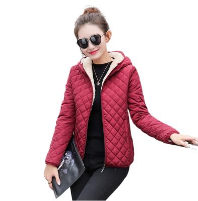 China Embroidery QUICK DRY Short Plaid Small Winter Coat Thickened Lamb Wool Cotton-padded Clothes for sale