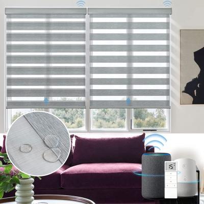 中国 Alexa Decorative Modern Indoor Zebra Roller Shades Smart Home Wifi Shades Auto Shades Motorized for Window 販売のため