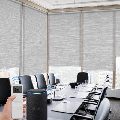 China Motorized blinds alexa professional wifi cortin electric automatic smart motorized roller window blind shade for office building for sale