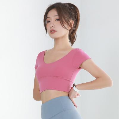 China High Quality Sports New Arrival Breathable Gym Clothes Short Sleeve Running Tight Top Yoga Wear For Women for sale