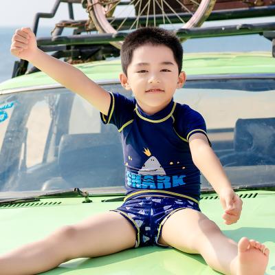 China 2022 Summer Simple Design Boys Sports Breathable Short Sleeve Beachwear Two Piece Set Swimwear For Kids for sale