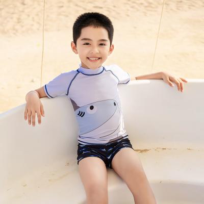 China 2022 Summer Breathable Best Selling Boys Print Sports Beachwear Short Sleeve Two Piece Cartoon Swimwear For Kids for sale