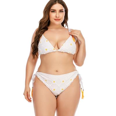 China New Arrival Push Up Sexy Bikini Plus Size Split Two Piece Set Plus Size Swimwear For Fat Women for sale