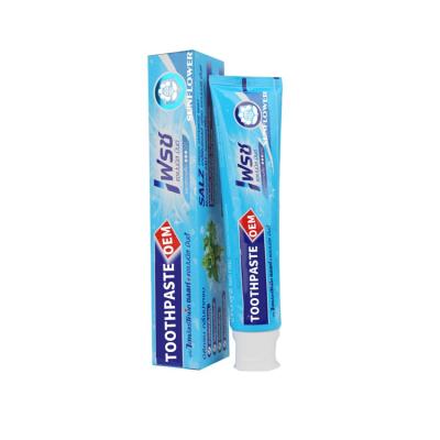 China 2021 High Quality Antibacterial Most Popular Adult Toothpaste Toothpaste Wholesale 180G OEM For Strong Teeth for sale