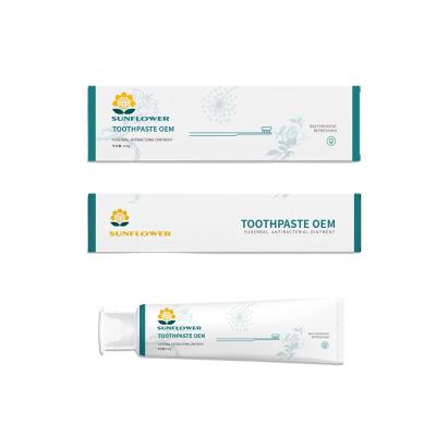 China Anti-cavity OEM Factory Oral Freshing 120g China Toothpaste High Quality Natural OEM For Adult for sale