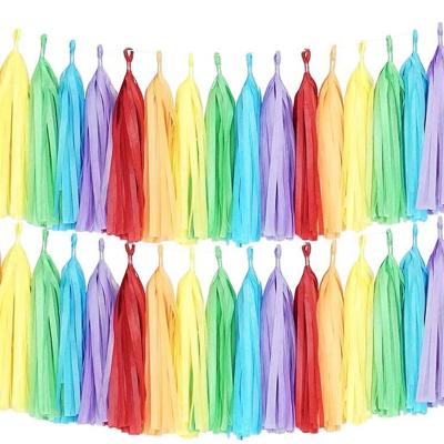 China RUI YI Disposable Tissue Pom Pom Eco-friendly Paper Tassel Garland Party Supplies Rainbow Paper Tassel for Birthday Party Decorations for sale