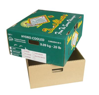 China Strong Fruit Packaging Carton Tomato Box Cherry Box with Lid for sale