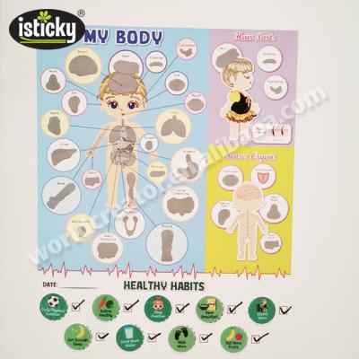 China Removable and Reusable Professional Isticky Manufacture Kids Room Wall Stickers Human Body PVC Wall Sticker for sale