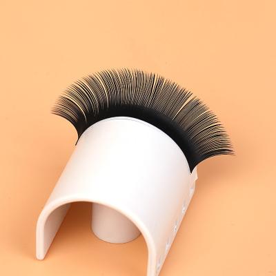 China PBT Natural Korean 0.05 Volume Lash 8mm-25mm J Since M Curl Classic Individual C CC D DD L Lashes for sale