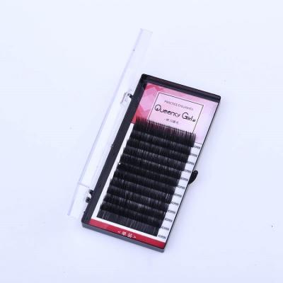 China Support Free Sample 3d Faux Natural / Fashion / Soft Shaping Kit Mink Individual Lashes Practice Eyelash Extension for sale