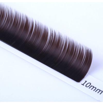 China Natural Super Soft Brown Color Flat Eyelash Extension 0.15 for sale