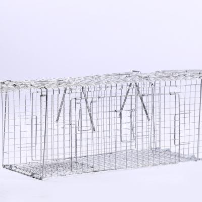 China Viable Silver Net Bird Cage Anti-bird Factory Price Factory Price Animal Trap Protection Garden Net for sale