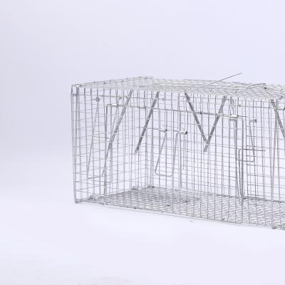 China Durable Bird Cage External Trap Stainless Steel Is Not Easy To Rust To Prevent Animals From Flying Out Of The Trap Space for sale