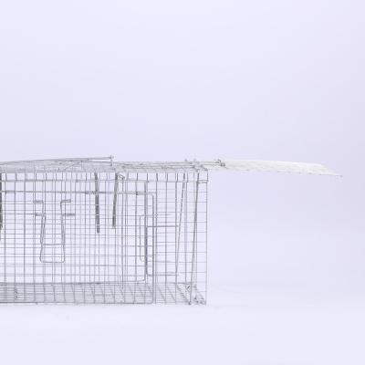 China Viable practical birdcage bird trap to eliminate the dangers hidden stainless steel bird catching hot-selling product for sale