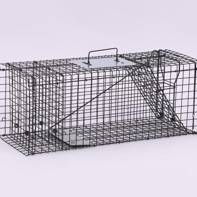 China Viable Wild Animal Live Hunting Traps For Safe Catching Live Mouse Animal Traps Metal Cages for sale