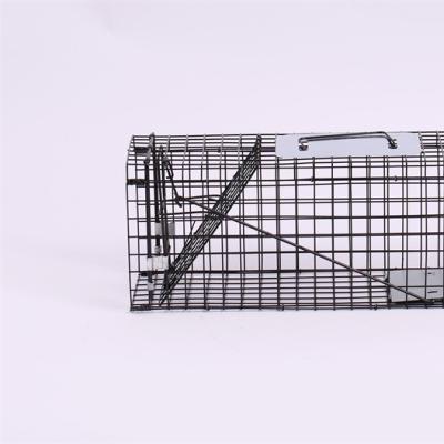 China Viable factory directly supply professional animal traps, durable dog traps and mouse traps for sale