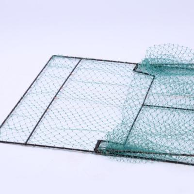 China Viable Chinese Manufacturer New Product Collapsible Wire Mesh Cage Pigeon Sparrow Catcher for sale