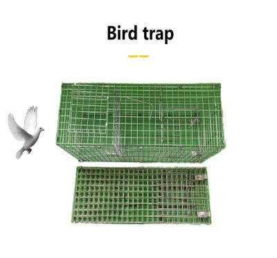 China Live Pest Bird Cage Trap Viable Collapsible Bird Control Bird Net Bird Trap Pigeon Humane Trap for sale