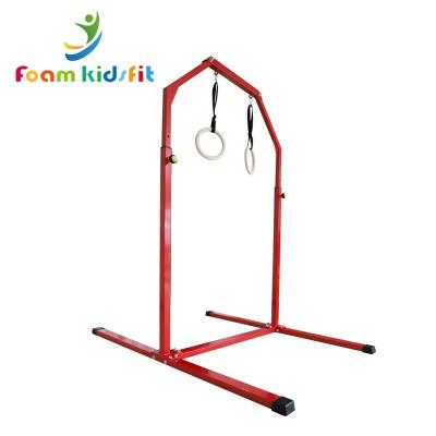 China Indoor fitness fitness horizontal bars rings equipment for sale for sale