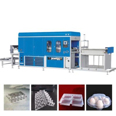 China thermoforming machine to make pp lunch box, lunch trays die casting for sale