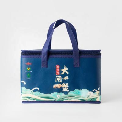 China Low Price Manufacturer Waterproof Custom Logo Insulated Food Delivery Bag Insulated Cooler Bags For Beach, Picnic, Camping for sale