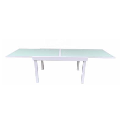 China Hot Selling OEM Factory Garden Eco-friendly Furniture Professional Waterproof Printing Glass Dining Table for sale