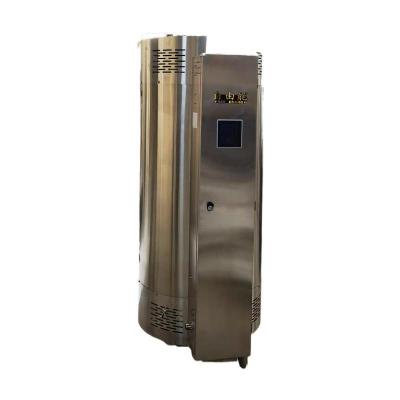 China 2021 new hotels gas vertical hot water boiler for villa heating for sale