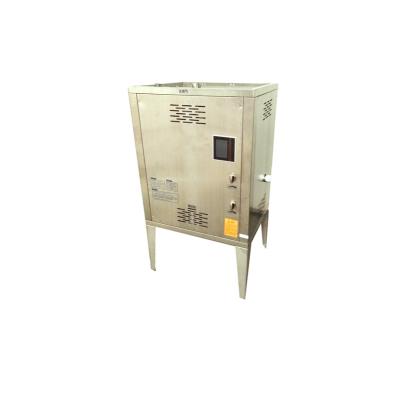 China Hotels Wholesale Customized Small Volume Water Heater Home Gas Water Boiler for sale