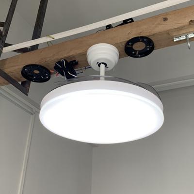 China With Manufacturer Light Living Room Decorative AC Motor Led Ceiling Fan Pendant Light Lamp for sale